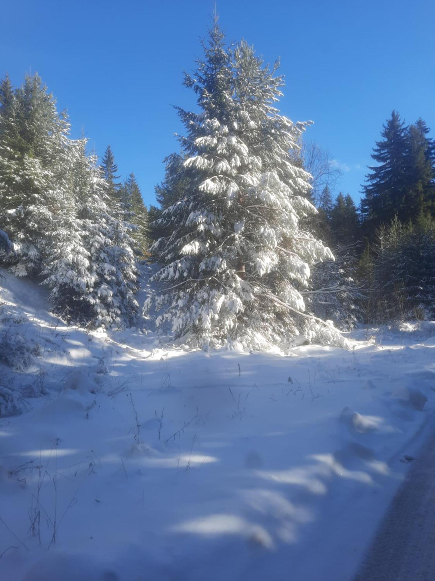 Семеен Хотел Кристал Smolyan Buitenkant foto